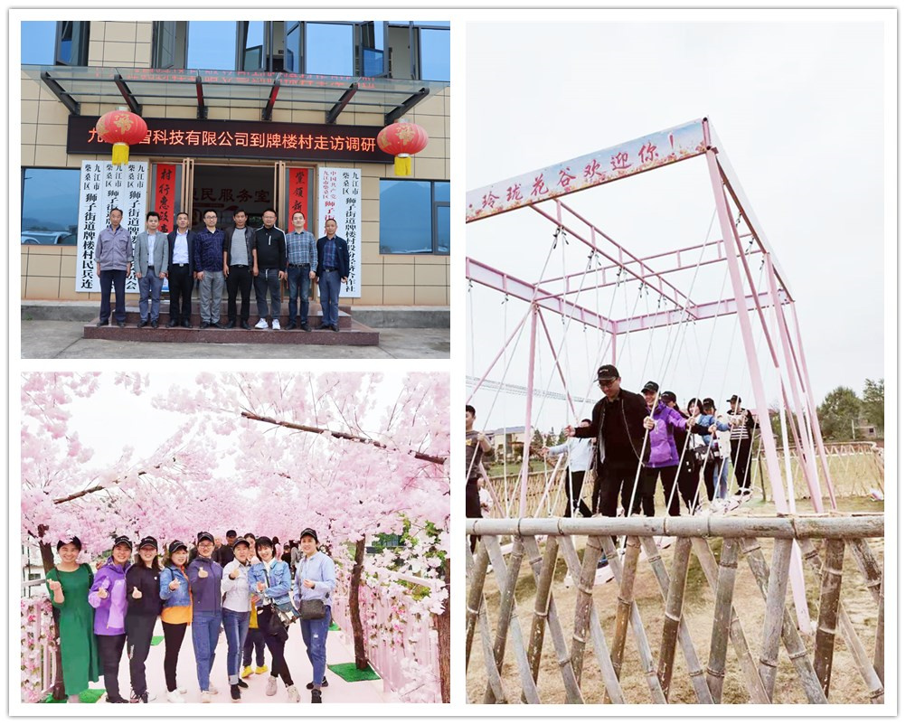 英智科技团建